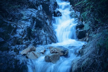 DSCF1806副本.jpg