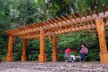 DSCF2443.jpg