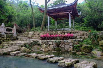 DSCF2460.jpg