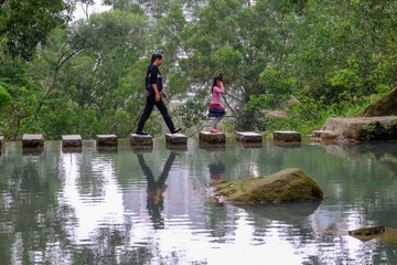 DSCF2462.jpg