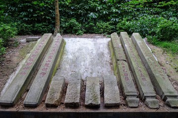 DSCF2466.jpg