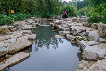 DSCF2495.jpg