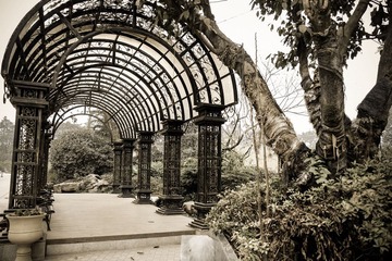 DSCF7262.jpg