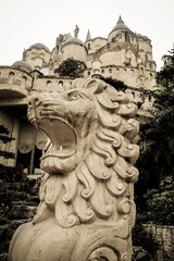DSCF7267.jpg