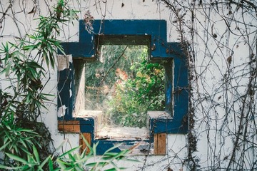 DSCF8015.JPG