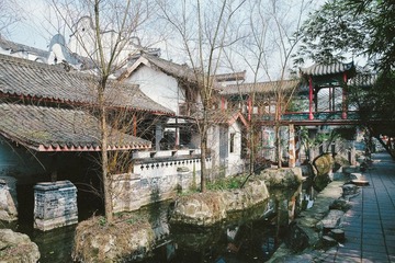 DSCF8024.JPG