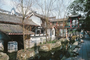DSCF8024.JPG