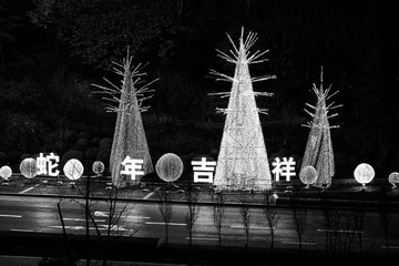 DSCF7242-编辑.JPG