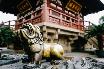 DSCF4974.JPG