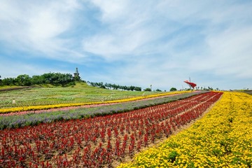 DSCF8498-编辑