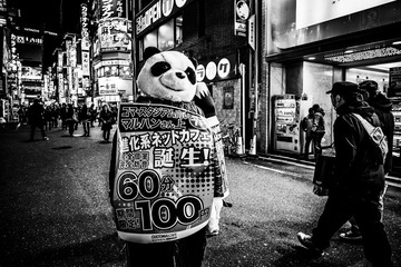 DSCF5782-编辑