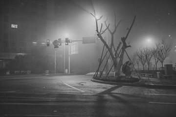 DSCF6111-编辑