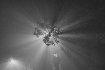 DSCF6121-编辑