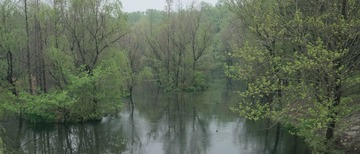 DSCF9662