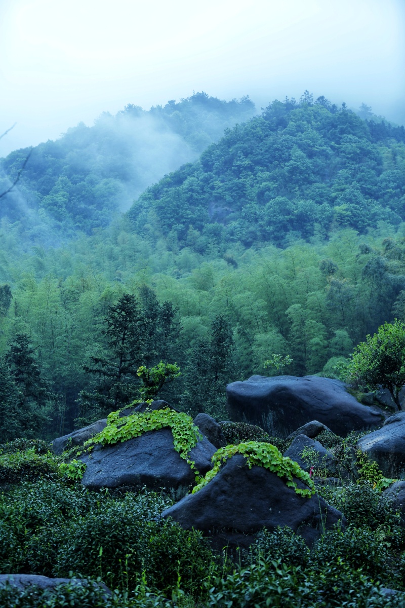风景绿色#立夏#节气1/127思静视界2021年5月5日1405关注立夏风光爱好