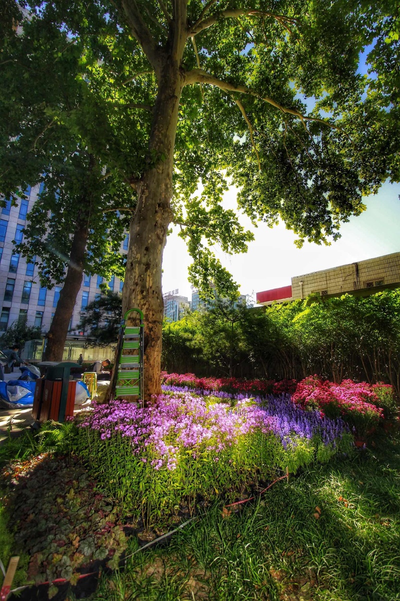 北京林业大学竹构花园展