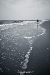 DSC_0745.jpg