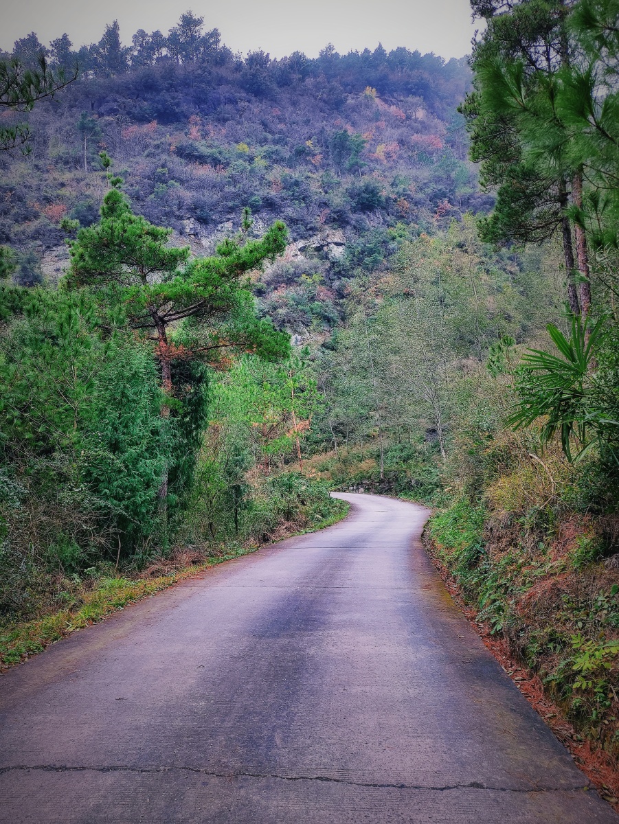 大山深处 - 大美广元