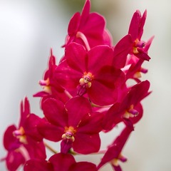 BC19CC21-1DFF-40CC-A0F0-B757EF5B000F/L0/001