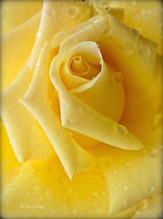 14B73D50-0BC6-4D15-855A-E988163A5C3D/L0/001