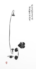 240096