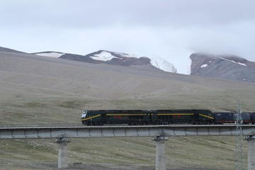 1431279