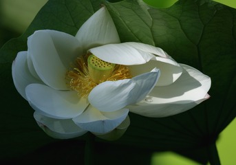 WU5O0005_