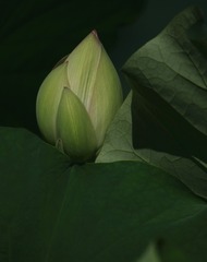 WU5O0077_
