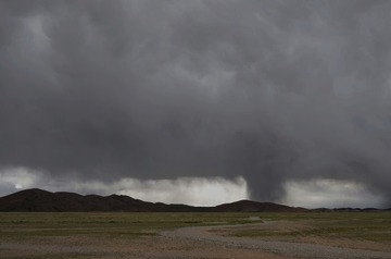 L1001254__