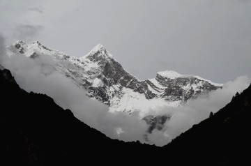 L1000763_