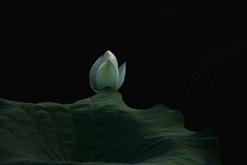 WU5O1008_副本.jpg