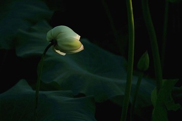 WU5O1026_副本.jpg