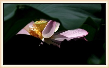 WU5O0022_