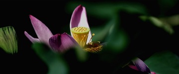 WU5O0028_