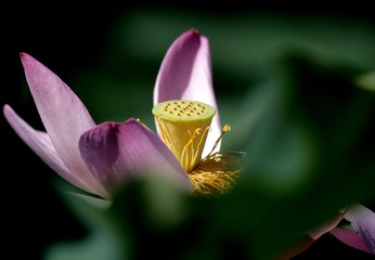 WU5O0029_