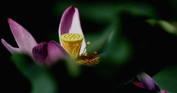 WU5O0028__