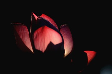 WU5O0003_