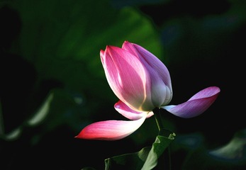 WU5O0014__