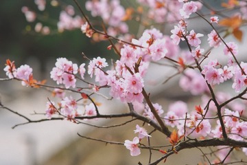 26EEDCD3-91AF-4C31-9AB9-4CF733C48434/L0/001