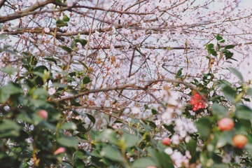 09C6D538-3BEE-42B9-9D01-677566A6FA62/L0/001