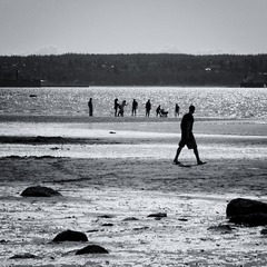 DSC08936-Edit-Edit.jpg