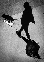 DSC00839-Edit.jpg