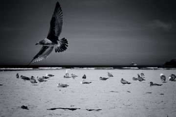 DSC02200-Edit-Edit