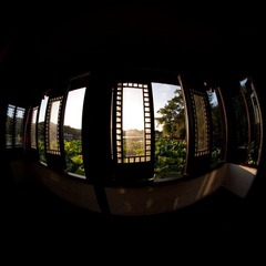 DSC_4161.jpg