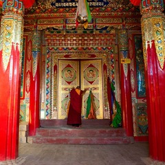 佛门难进