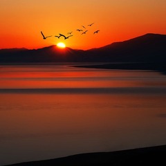 塞里木湖日出