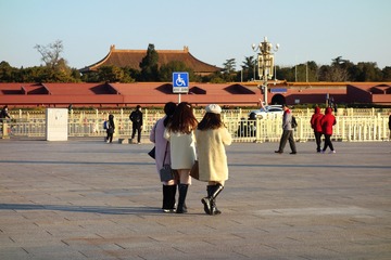 灰背鸫
