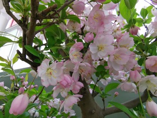 钱塘江