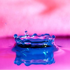水皇冠一个