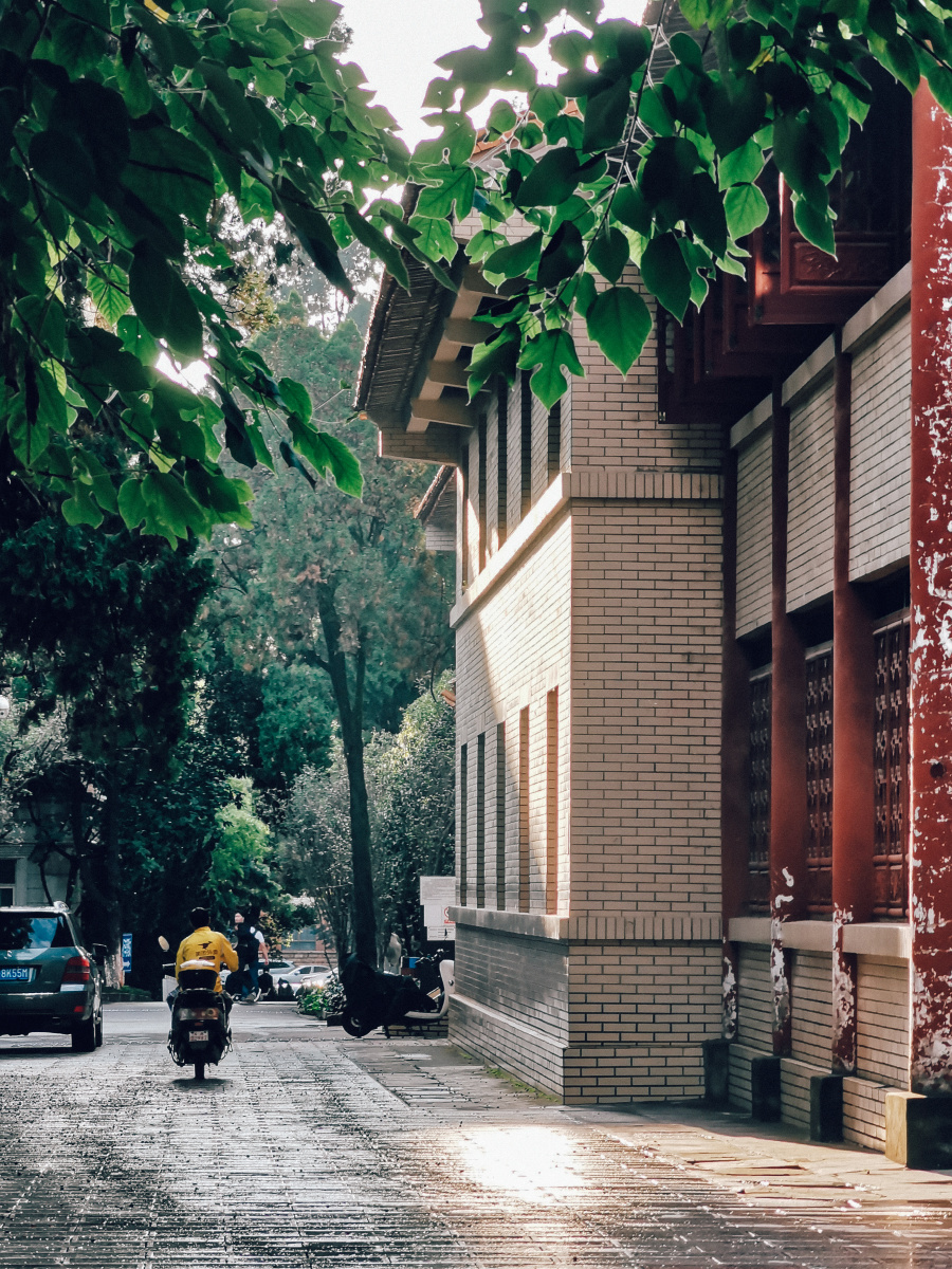 云大校园在云南大学翠湖校区内拍摄的照片,校园里风景很棒,很有设计感